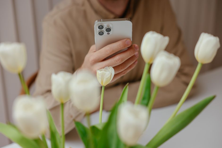 Guide pratique de la recherche par image (Google Lens)
