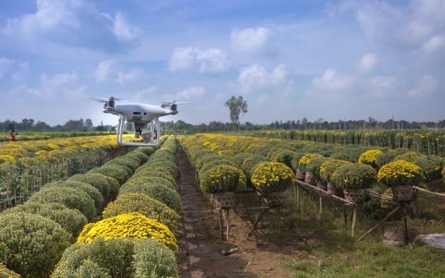 L&rsquo;IA transforme l&rsquo;agriculture : reconnaissance d&rsquo;images en plein essor