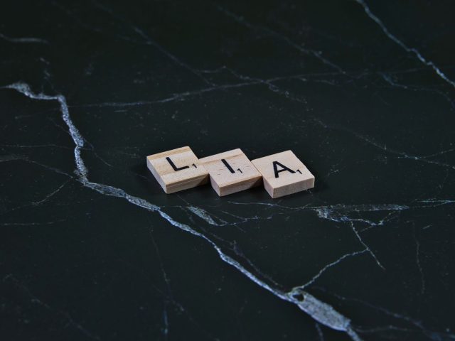 Les Meilleurs Cas d&rsquo;Utilisation de l&rsquo;IA en Reconnaissance d&rsquo;Image