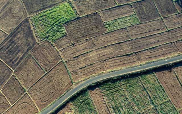 Depuis 2023, comment Meta et Microsoft redéfinissent la reconnaissance d&rsquo;images