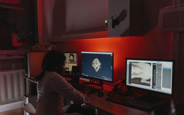 L&rsquo;Intelligence Artificielle en Imagerie Médicale : Révolution ou Risque ?
